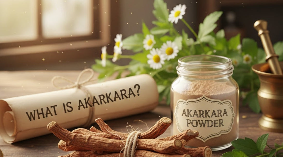 What Is Akarkara? Uses, Benefits, and Side Effects Explained