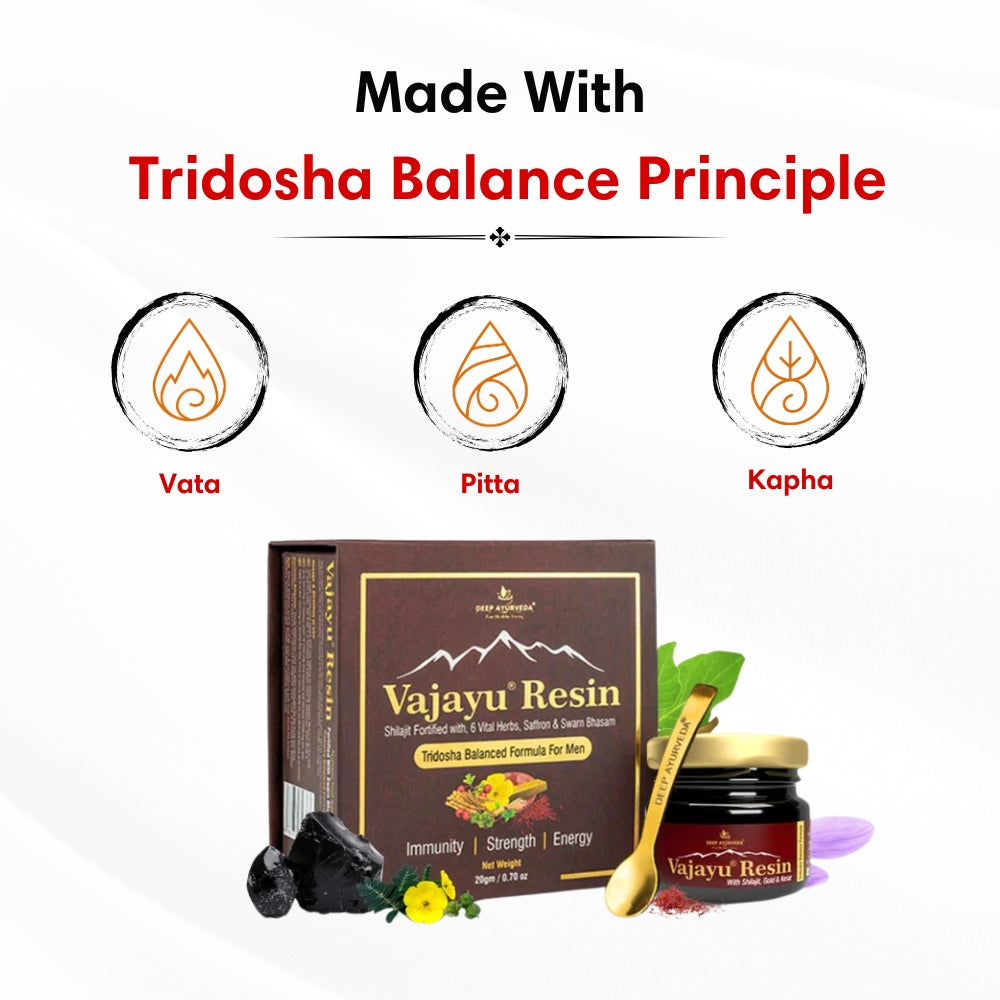 Vajayu Shilajit Gold Resin Plus With Gold & Kesar